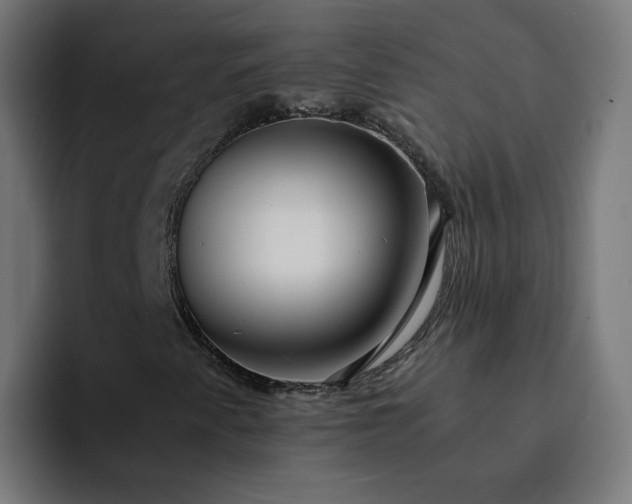 X0000093161345200710101146