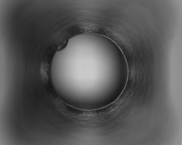 X0000093161346200710101146