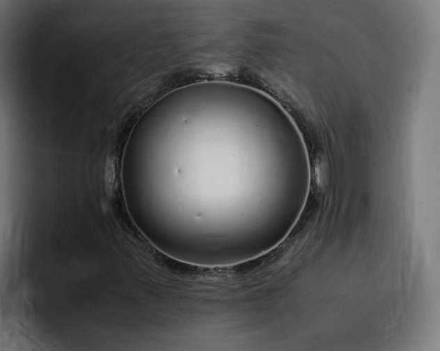 X0000093161347200710101146