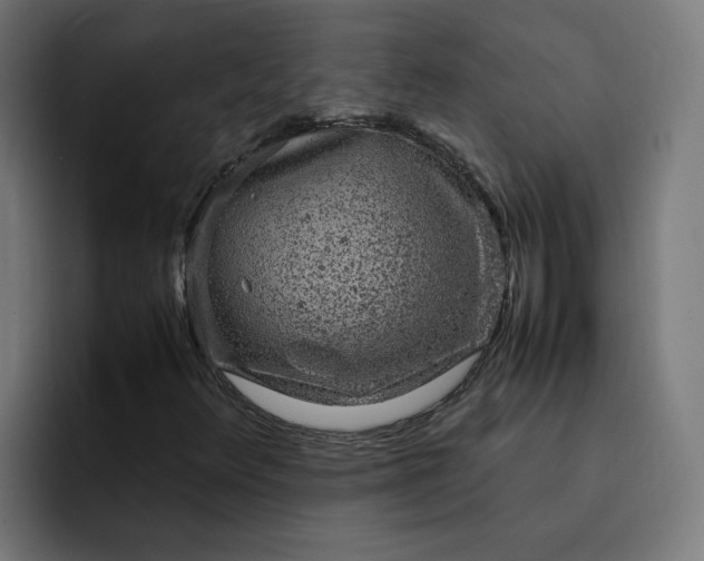 X0000093161348200710101146