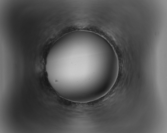 X0000093161349200710101146