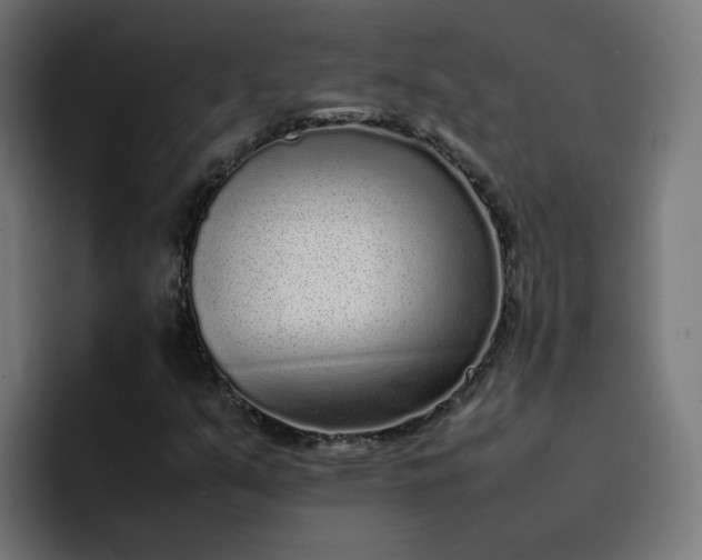X0000093161351200710101146