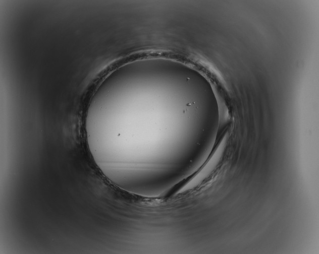 X0000093161352200710101146