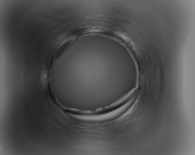 X0000093161353200710101146