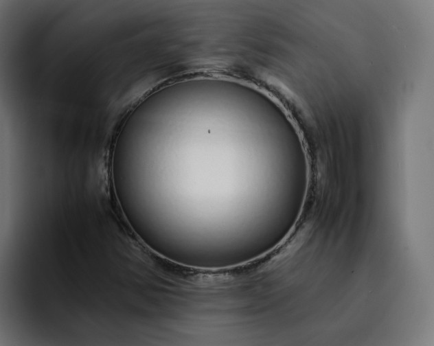 X0000093161354200710101146