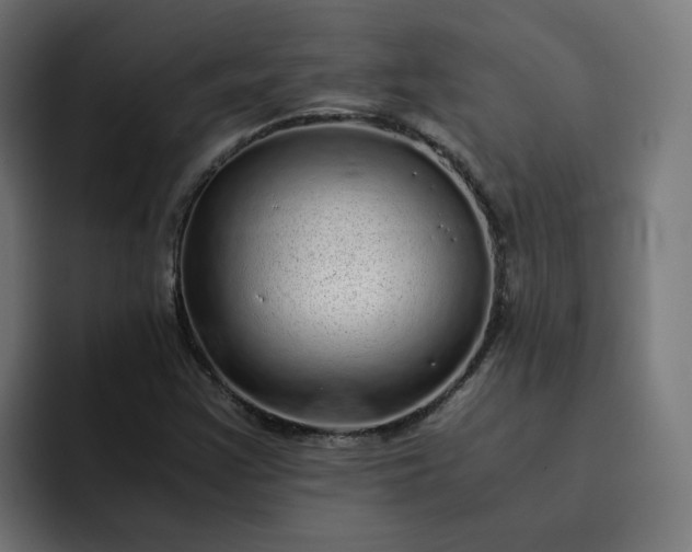 X0000093161355200710101146