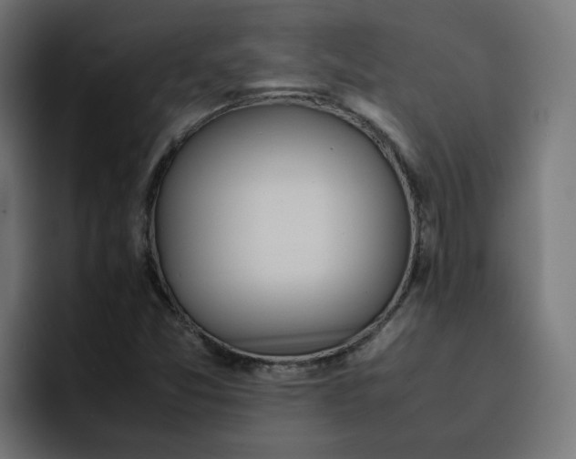 X0000093161357200710101146