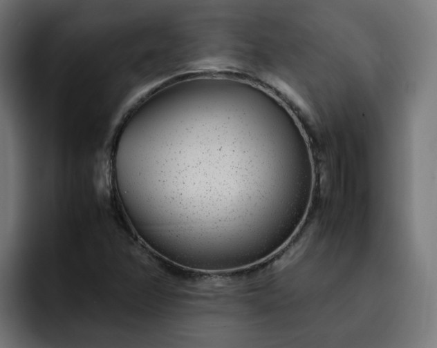 X0000093161358200710101146