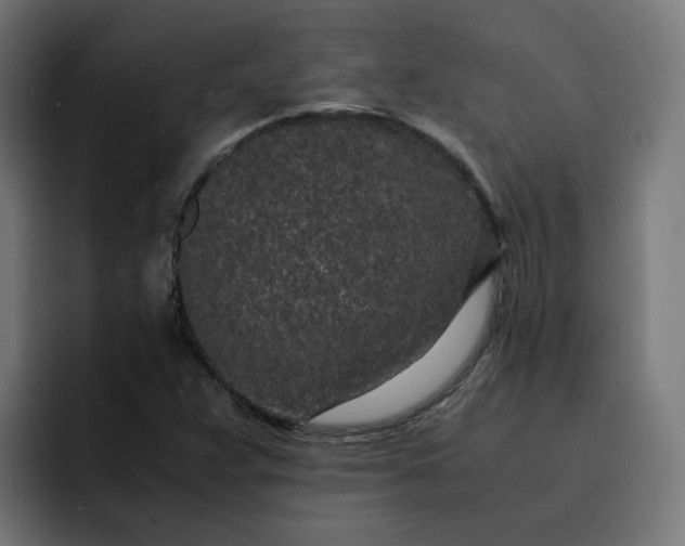 X0000093161359200710101146