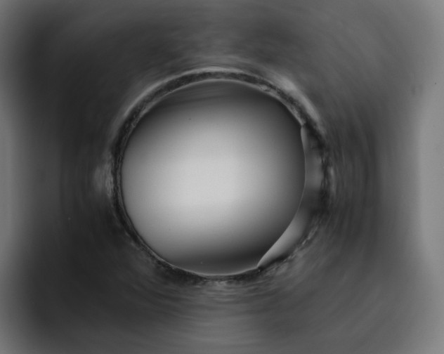 X0000093161360200710101146