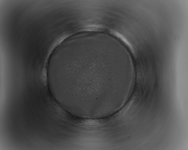 X0000093161362200710101146