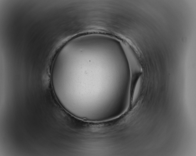 X0000093161363200710101146