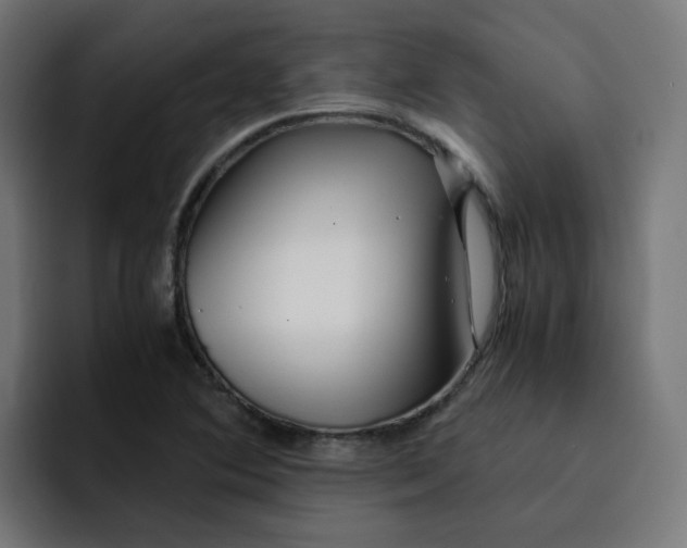 X0000093161364200710101146