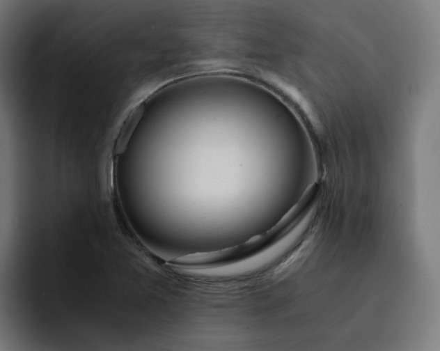 X0000093161365200710101146