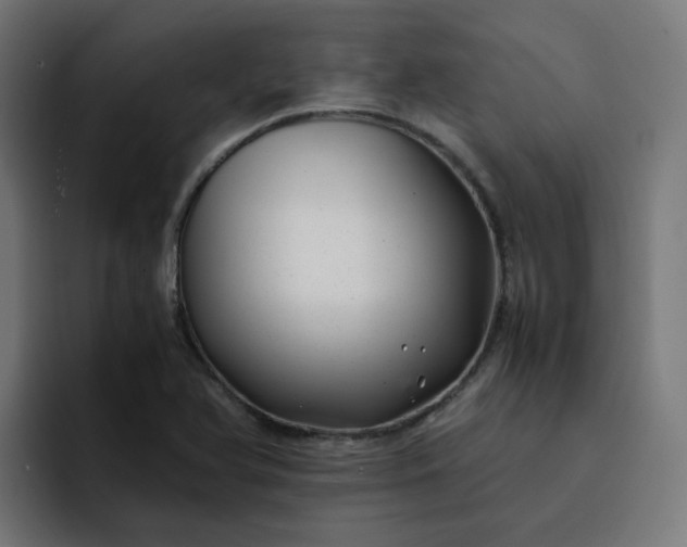 X0000093161366200710101146
