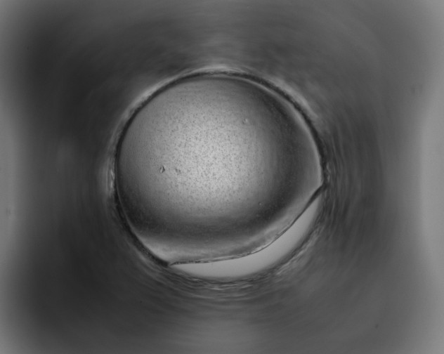 X0000093161367200710101146