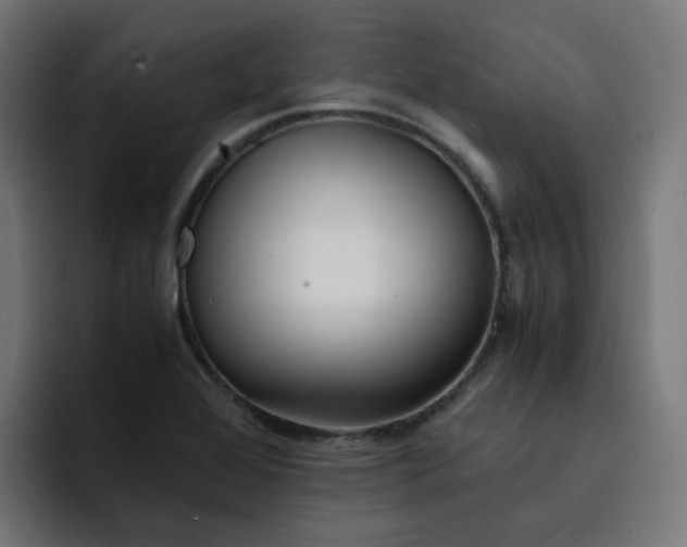 X0000093161368200710101146