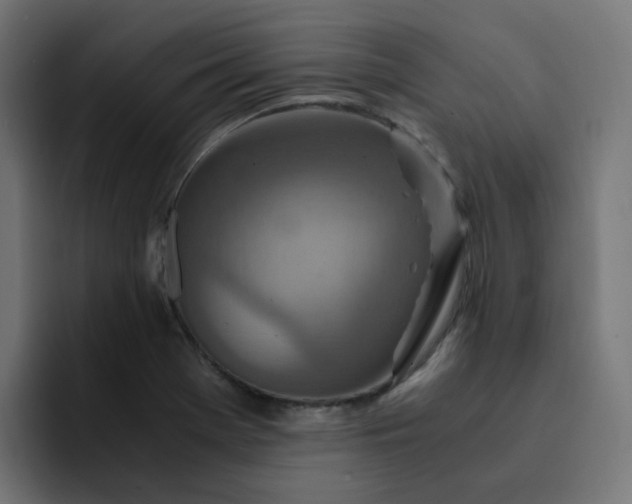 X0000093161369200710101146