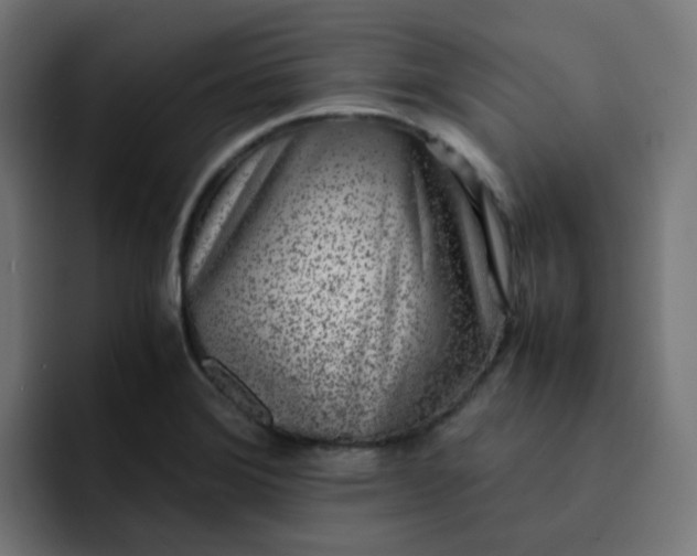 X0000093161372200710101146