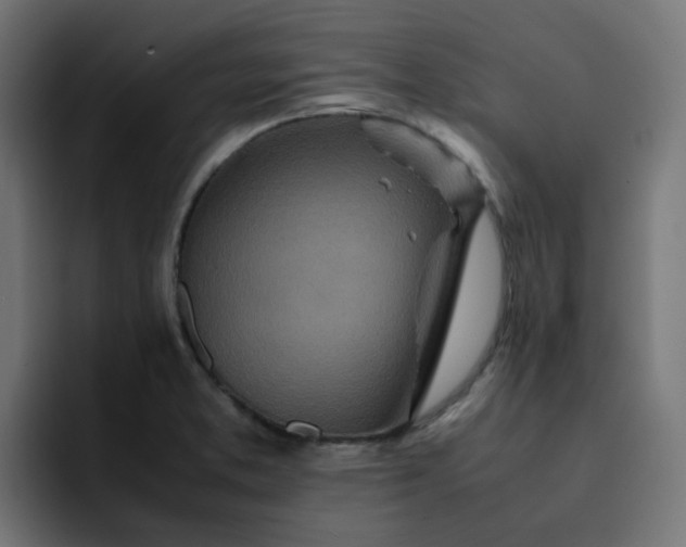 X0000093161373200710101146