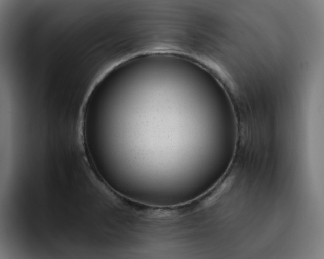 X0000093161374200710101146