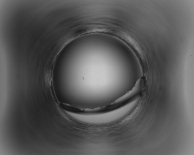 X0000093161377200710101146
