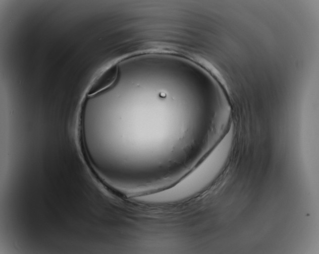 X0000093161379200710101146