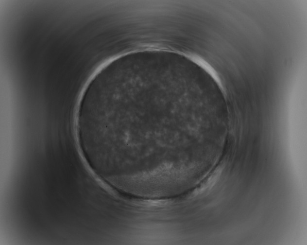 X0000093161381200710101146