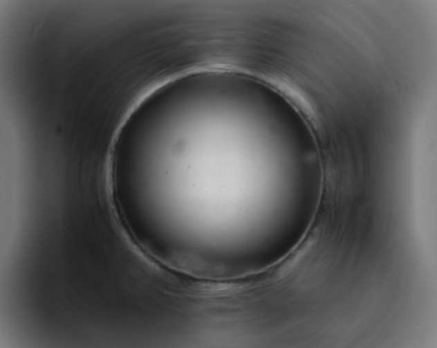 X0000093161382200710101146