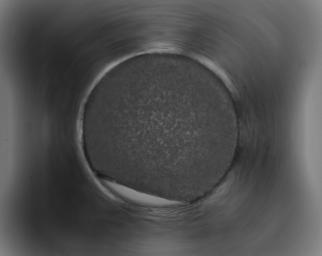 X0000093161383200710101146