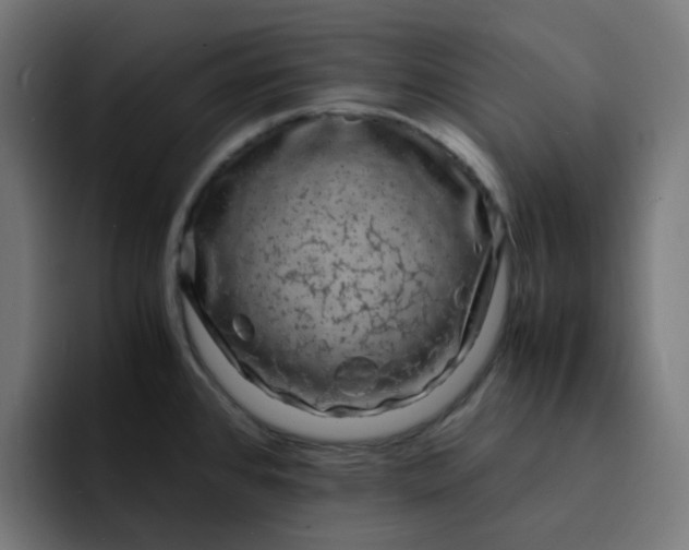 X0000093161384200710101146