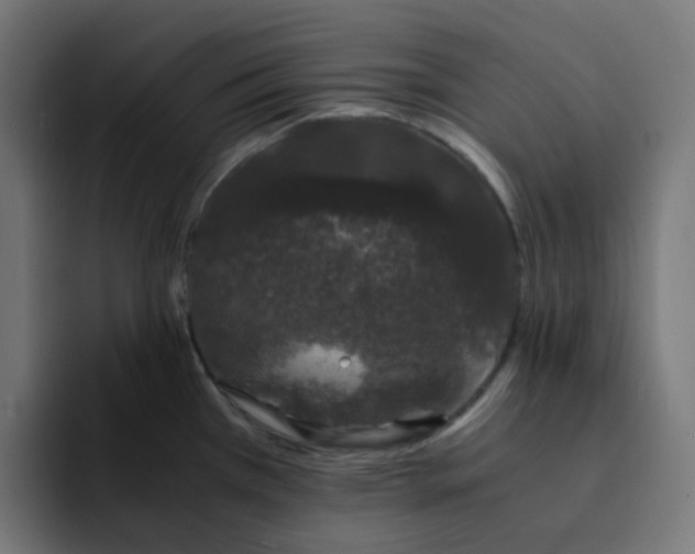 X0000093161385200710101146