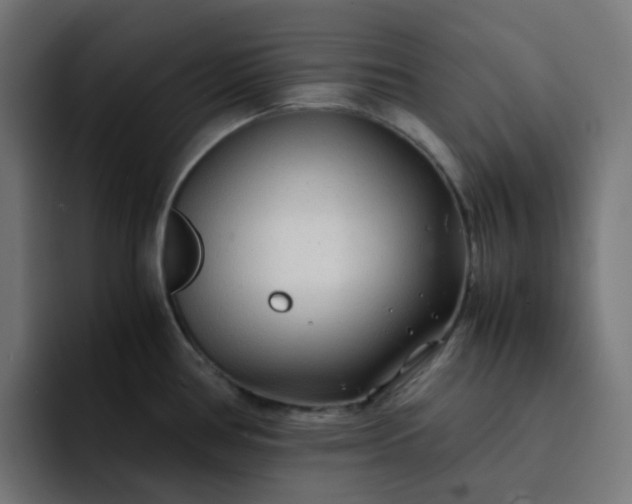 X0000093161386200710101146