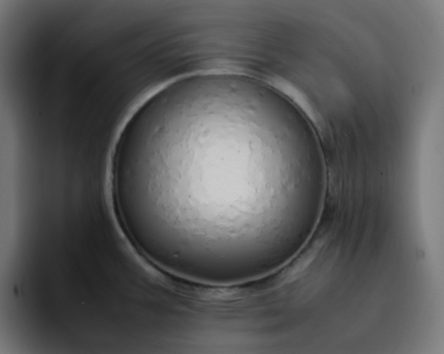 X0000093161387200710101146