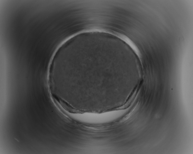X0000093161388200710101146