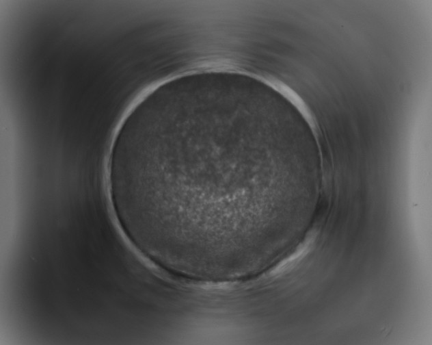 X0000093161389200710101146