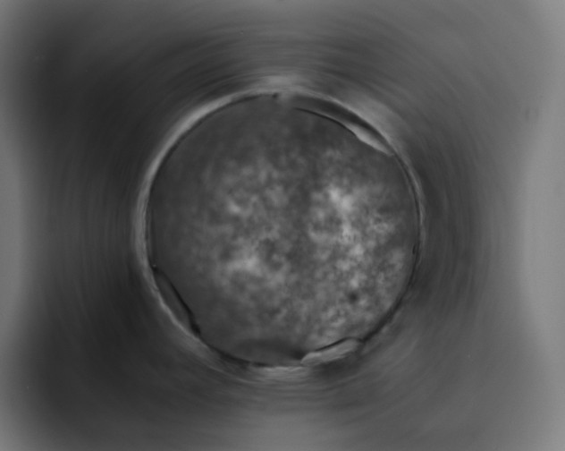 X0000093161392200710101146