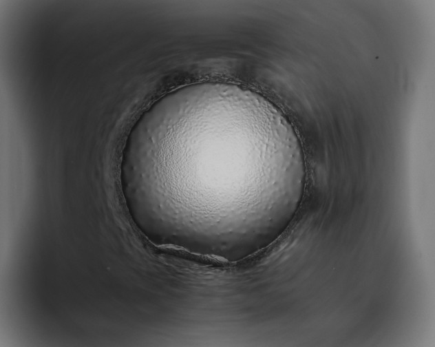 X0000093161393200710101145