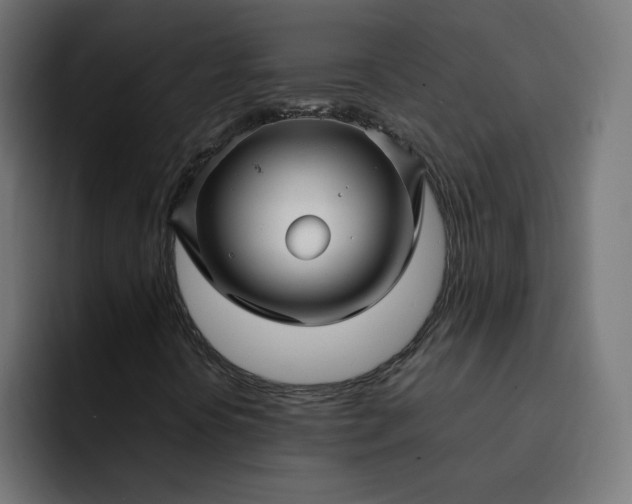 X0000093161394200710101145