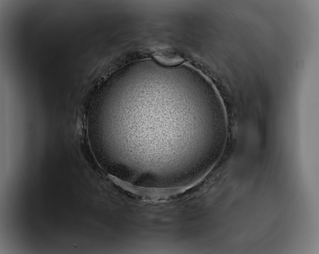 X0000093161397200710101145