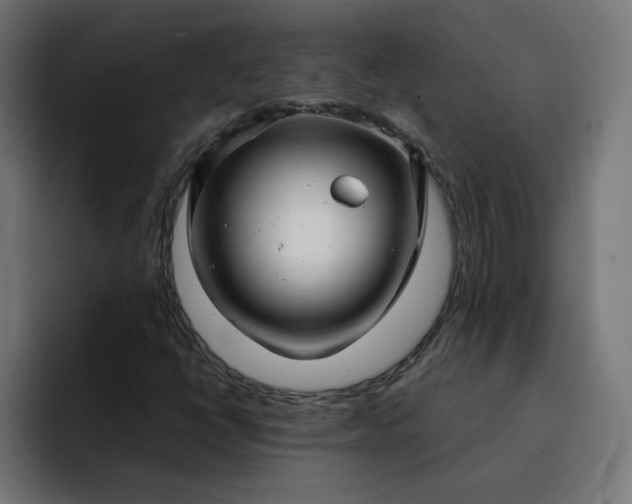 X0000093161398200710101145