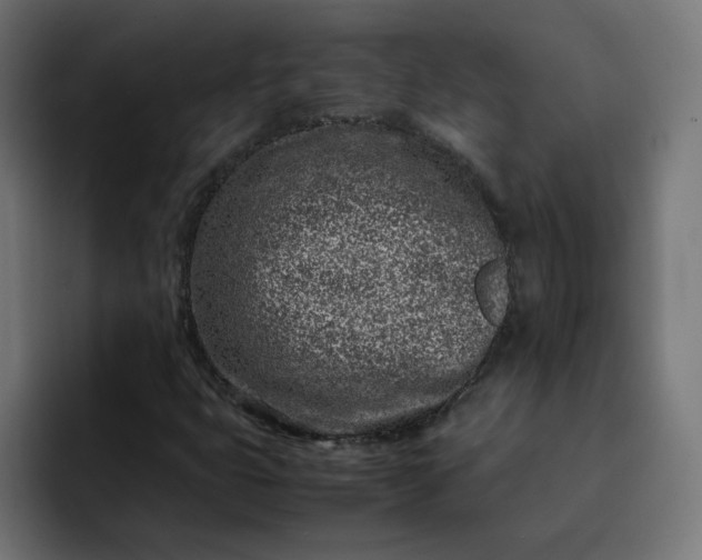 X0000093161399200710101145