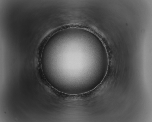 X0000093161400200710101145