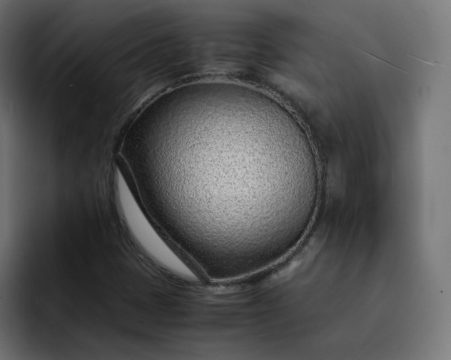 X0000093161401200710101145
