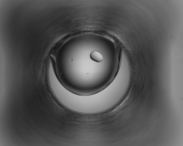 X0000093161402200710101145
