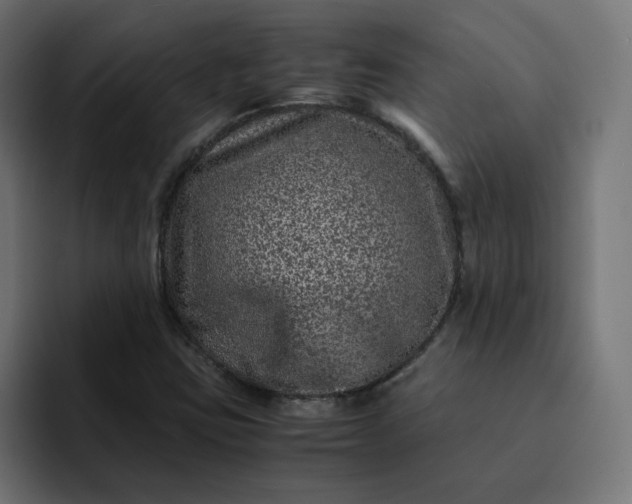 X0000093161403200710101145
