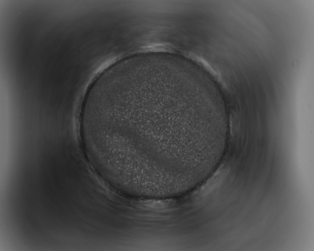 X0000093161405200710101145