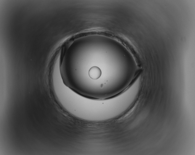 X0000093161406200710101145