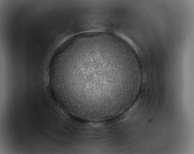 X0000093161407200710101145