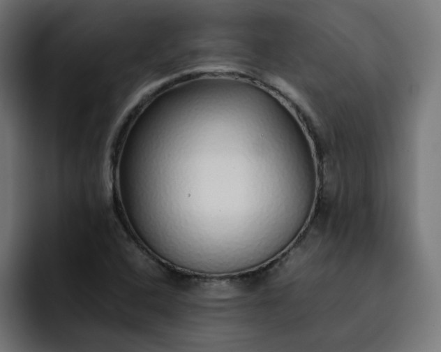 X0000093161408200710101145